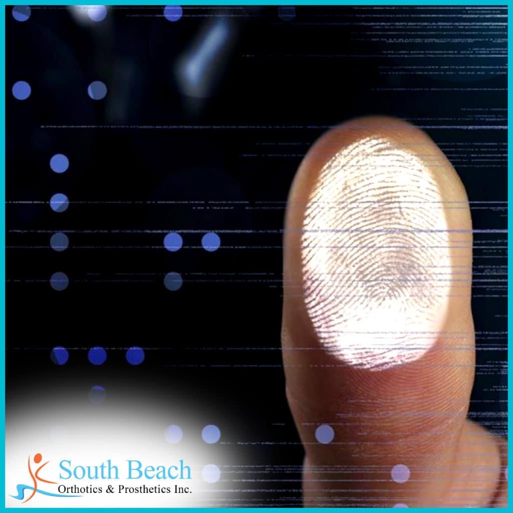 Fingerprint Findings Could Boost Prosthetics Research